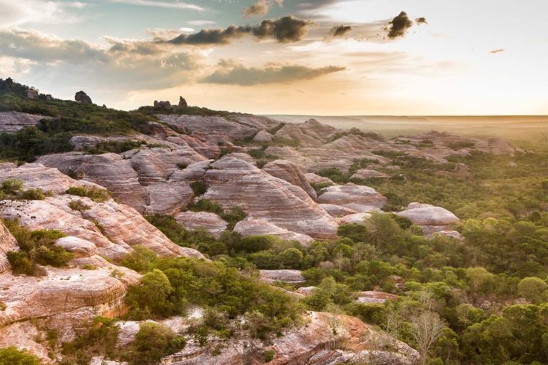 Canto do Buriti se consolida como porta de entrada para grandes destinos turísticos do Piauí