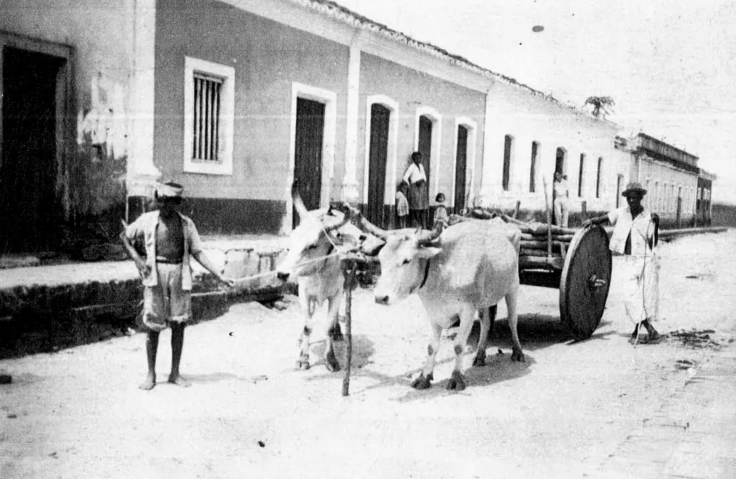 CARROÇA DE BOI