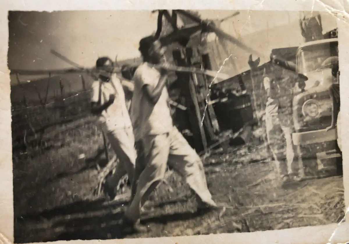 ENGENHO DE CANA - FAZENDA CAJÁS
